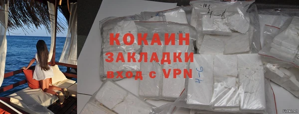 крисы Мегион