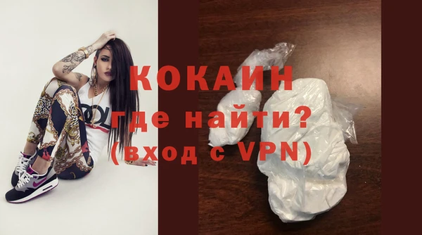 крисы Мегион