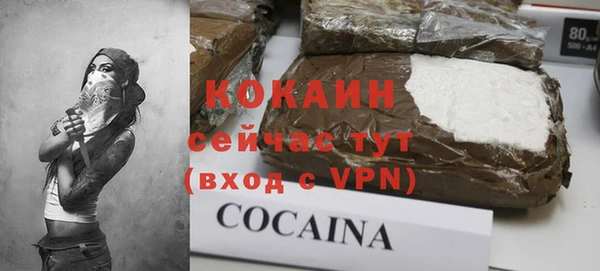 молекула духа Бердск