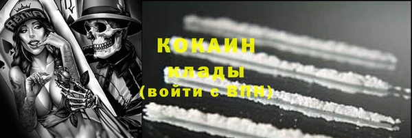крисы Мегион