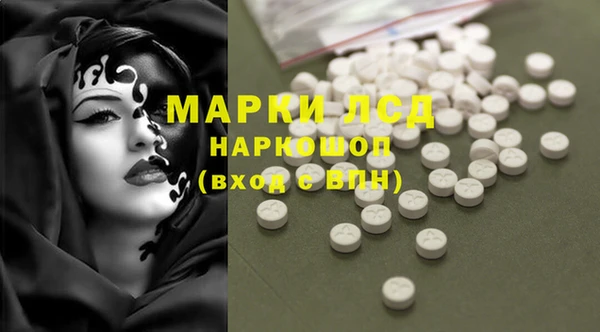крисы Мегион