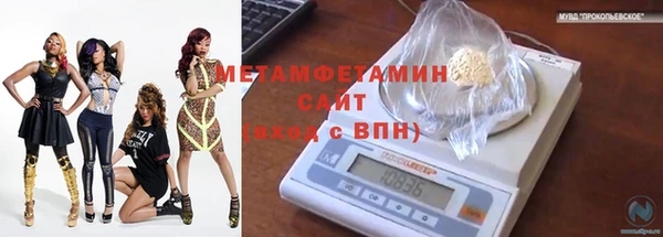 крисы Мегион