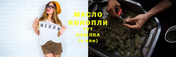 ECSTASY Медногорск