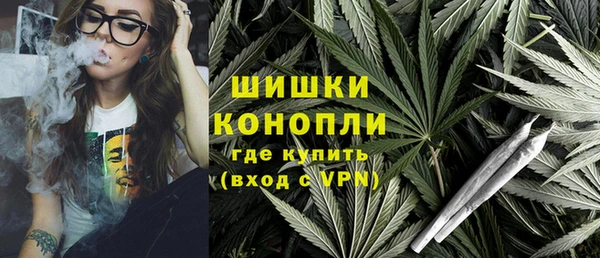 ECSTASY Медногорск