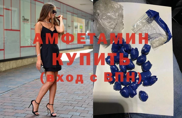 крисы Мегион