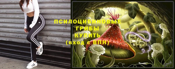 2c-b Медвежьегорск