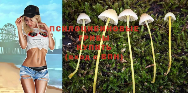 крисы Мегион