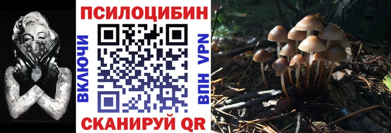Галлюциногенные грибы ЛСД  закладки  Чёрмоз 